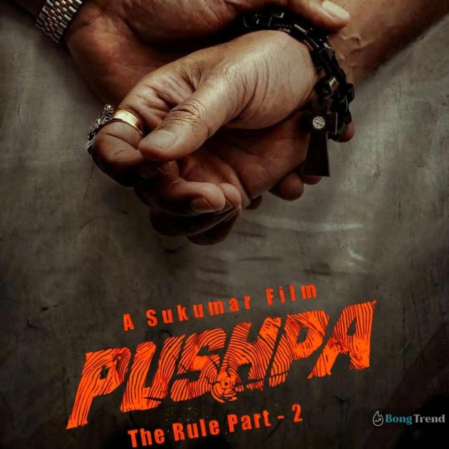 Pushpa 2, Pushpa: The Rule