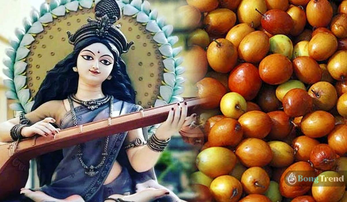 Saraswati Puja, Saraswati Pujo, Kul, Jujube fruits, Vasant Panchami, কুল, সরস্বতী পুজো, বসন্ত পঞ্চমী