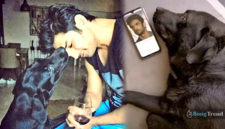 Sushant Singh Rajput Pet dog Fudge passes away news share by Sister Priyanka Singh