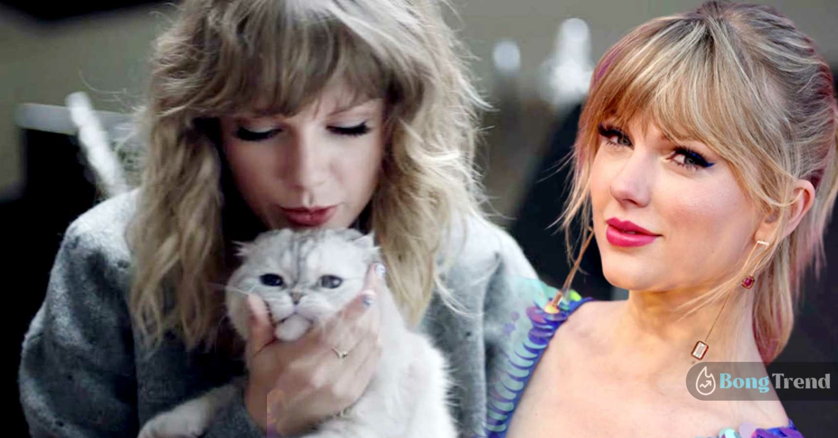 Taylor Swift cat Olivia is one of the wealthiest pet in the world