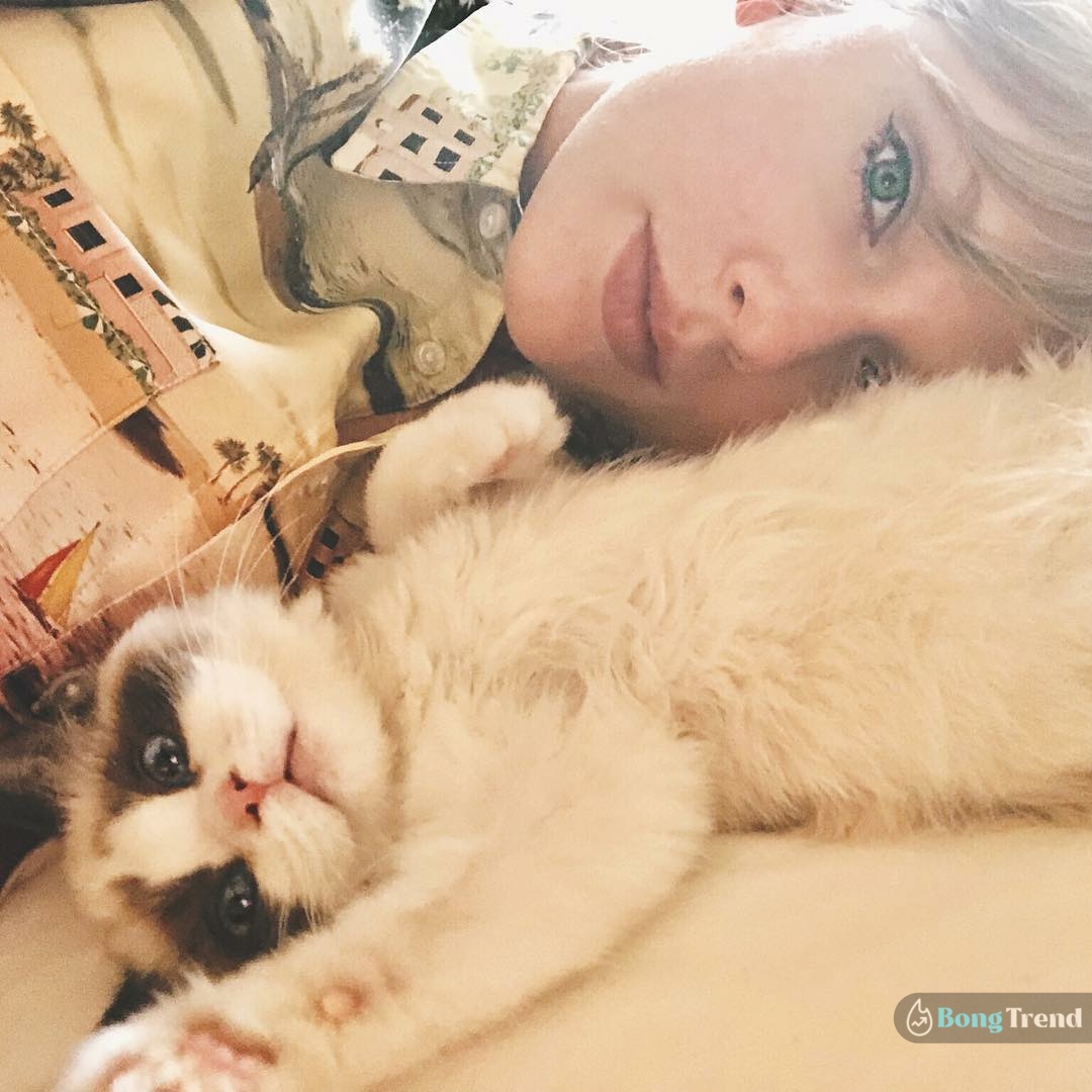 Taylor Swift cat Olivia is one of the wealthiest pet in the world