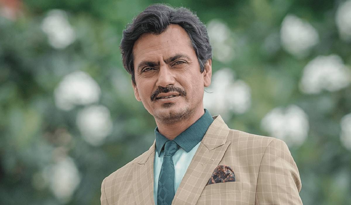 Nawazuddin Siddiqui, Nawazuddin Siddiqui on Bollywood, Nawazuddin Siddiqui on big budget Bollywood movies
