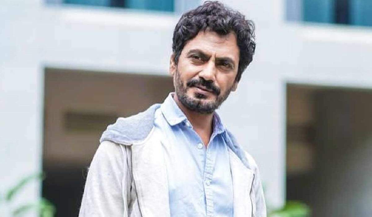 Nawazuddin Siddiqui, Nawazuddin Siddiqui on Bollywood, Nawazuddin Siddiqui on big budget Bollywood movies