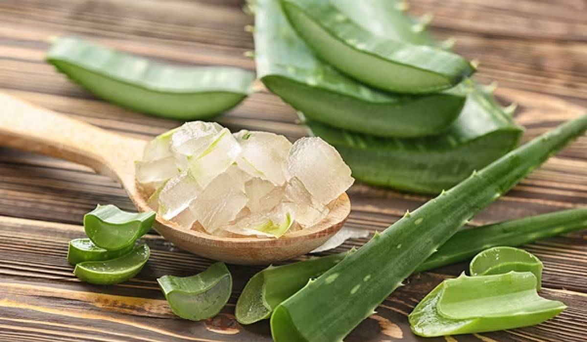 Aloe Vera gel, Home remedies for wrinkles