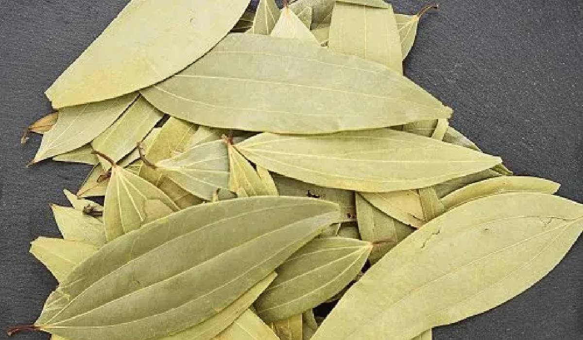 Bay leaf, how to get rid of cockroaches