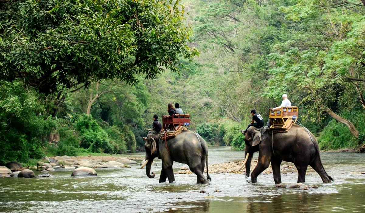 Jaldapara National Park, Offbeat travel destination near Kolkata