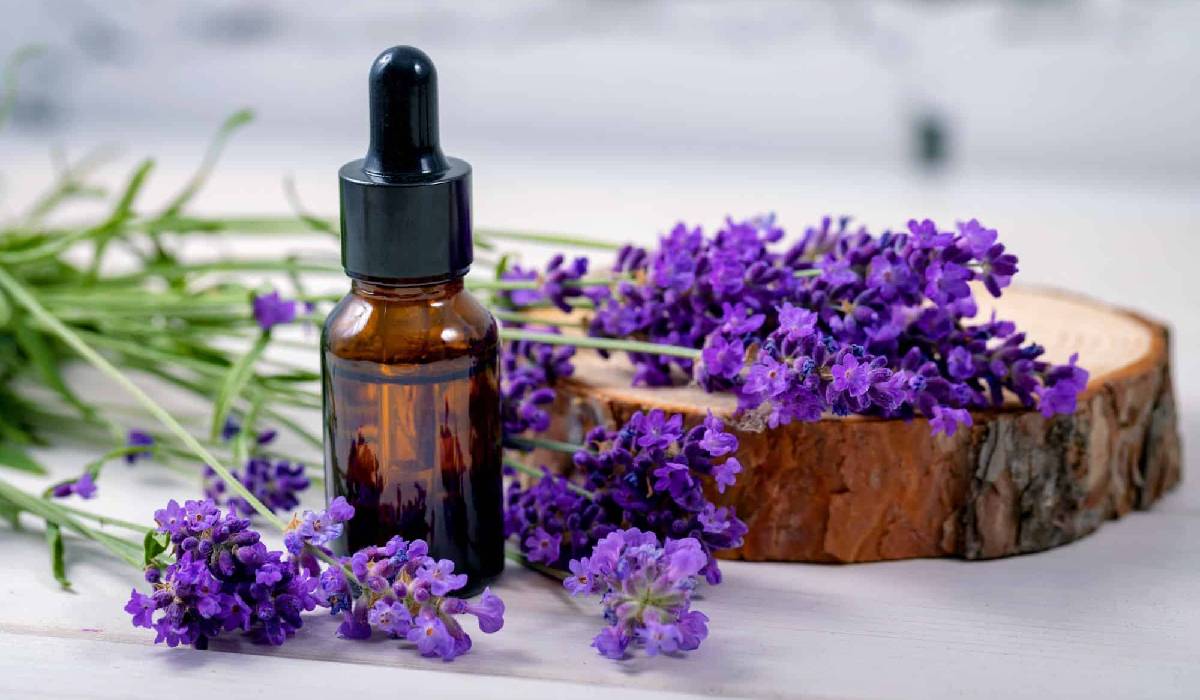 Lavender essential oil, Essential oil for skin