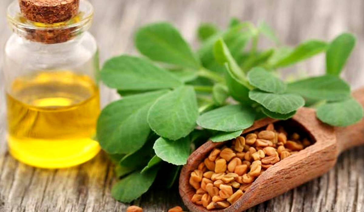 Methi oil, Methi oil hair care, Hair care tips