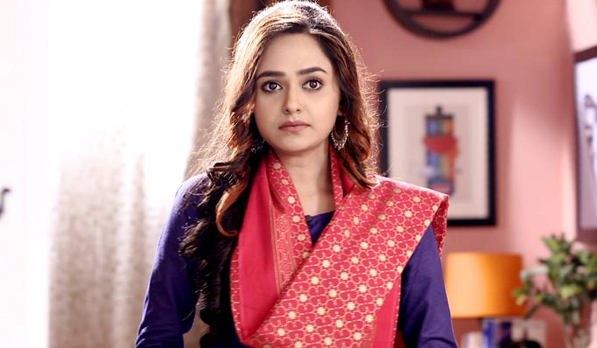 Mishmee Das, Mishmee Das Hindi serial