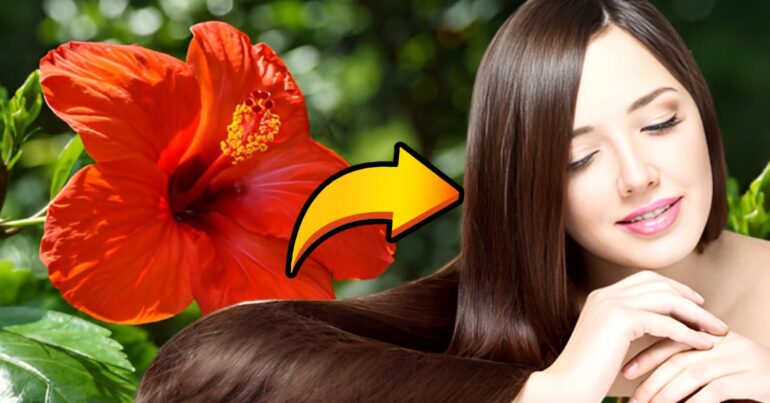 Hair care tips use China Rose for hair care