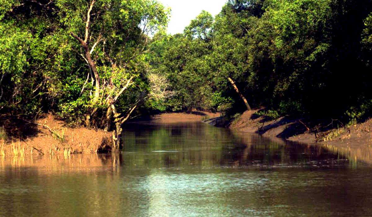 Mini Amazon Bhitarkanika, Weekend travel destination 