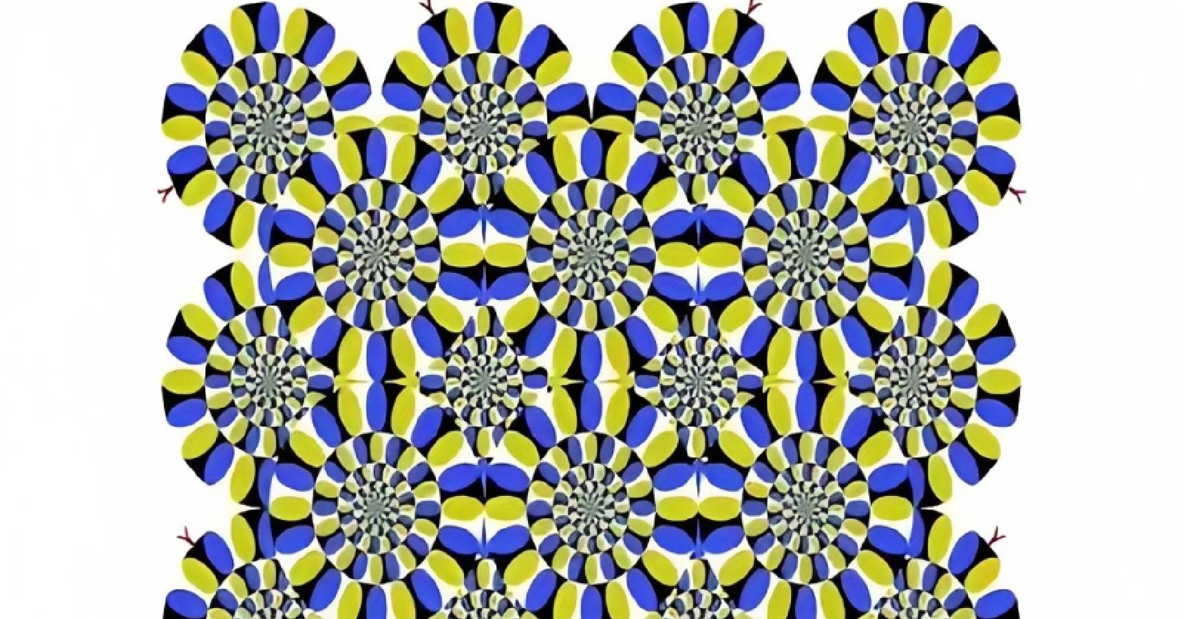 Optical illusion, Circle Optical illusion