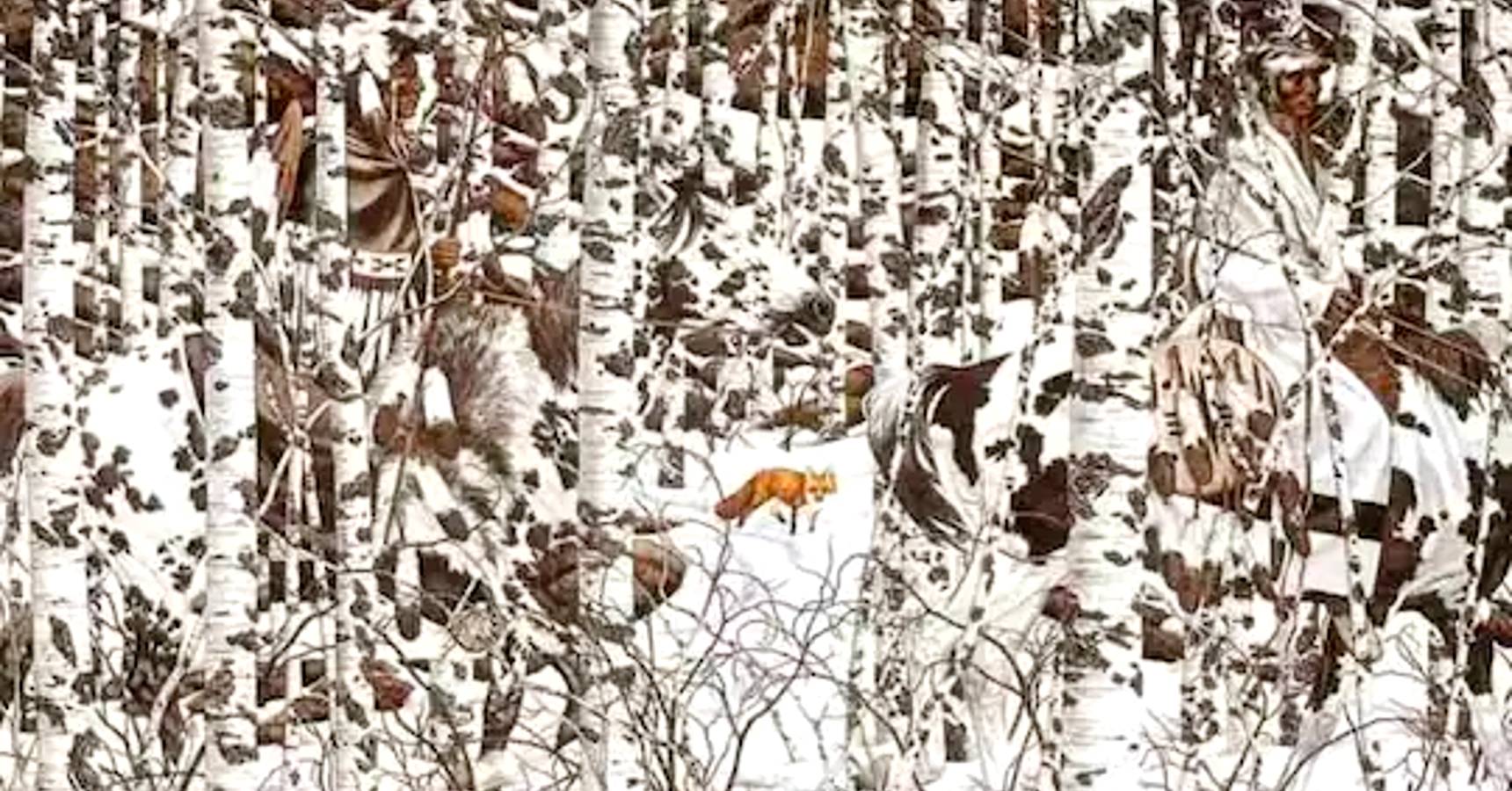 Optical illusion, Optical illusion fox and horse in the snow