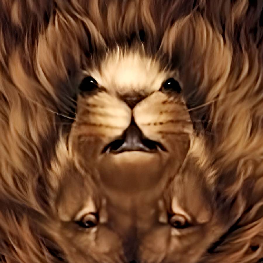 Optical illusion, Optical illusion mouse in lion's face 