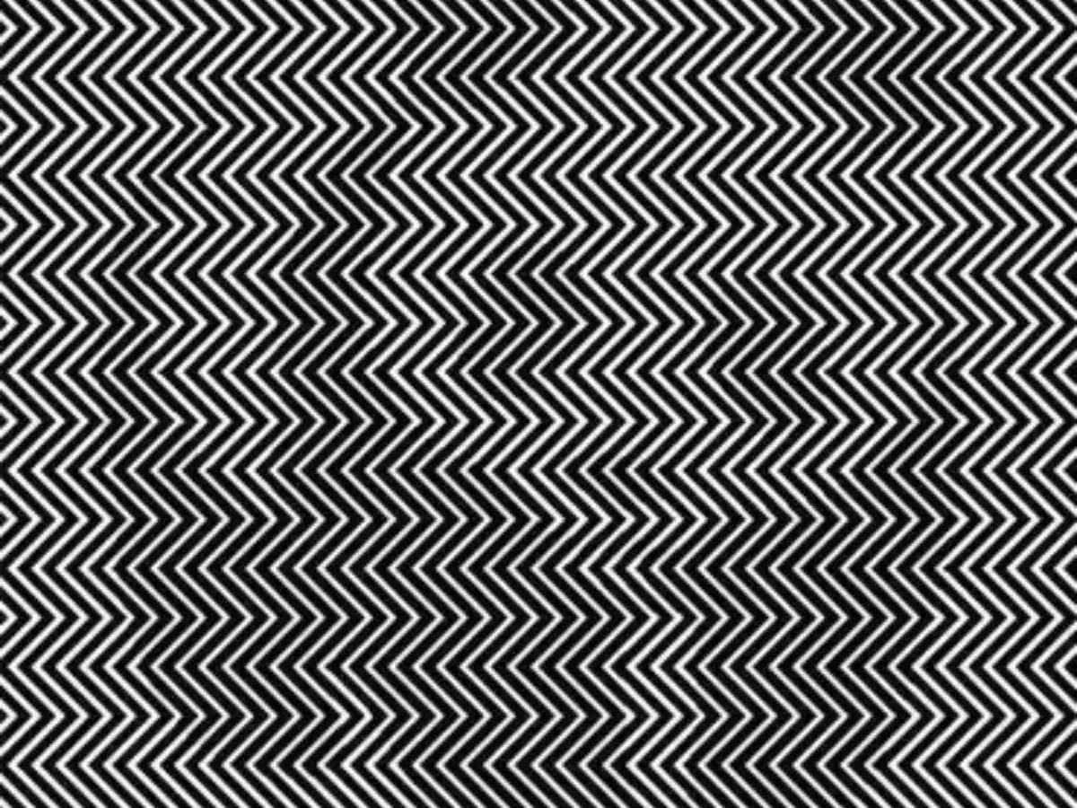 Optical illusion, Optical illusion panda in black and white patterns