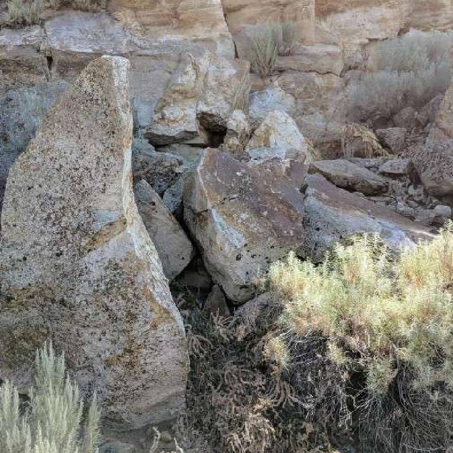 Optical illusion, Optical illusion rabbit among the rocks