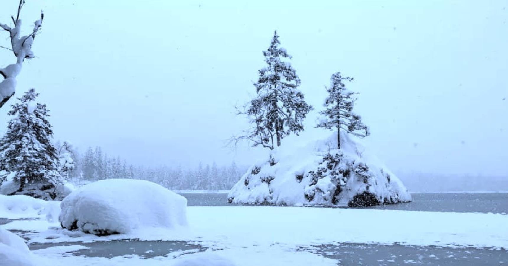 Optical illusion can you find a polar bear in the ice within 10 seconds