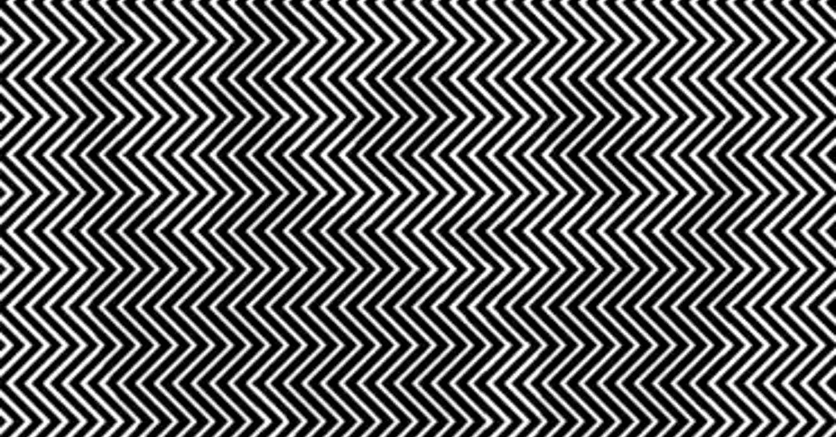 Optical illusion,Pattern,Panda,Animal,Viral,Viral news,Offbeat,Offbeat news,অপটিক্যাল ইলিউশন,নকশা,পান্ডা,প্রাণী,ভাইরাল,ভাইরাল সংবাদ,অফবিট,অফবিট সংবাদ,Optical illusion Panda in black and white pattern,Optical illusion animal in black and white pattern,অপটিক্যাল ইলিউশন সাদা কালো নকশার মধ্যে পান্ডা,অপটিক্যাল ইলিউশন সাদা কালো নকশার মধ্যে প্রাণী