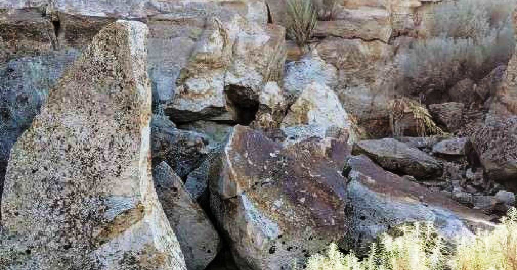 Optical illusion can you find the rabbit among the rocks within 6 seconds