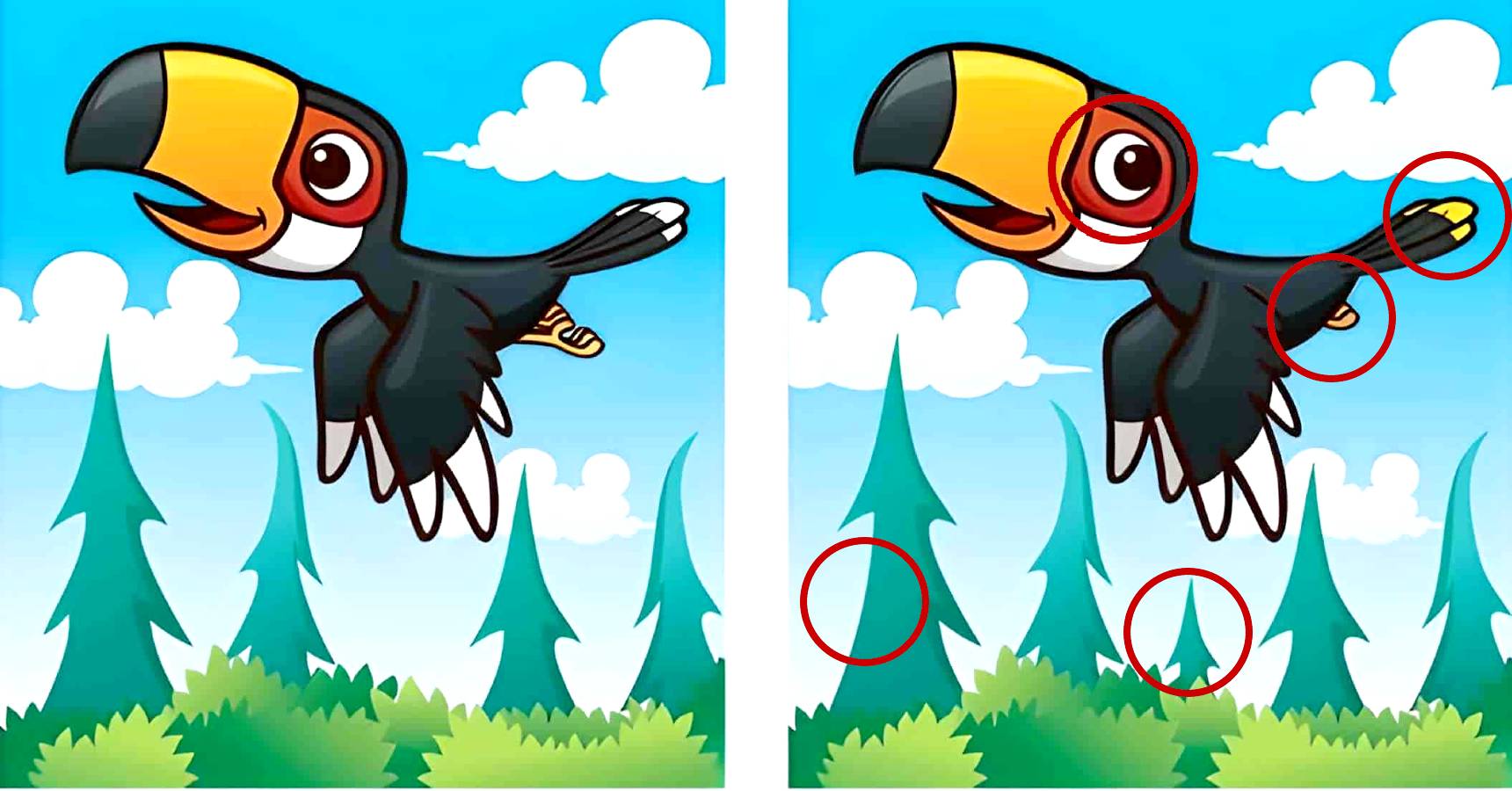 Brain teaser, Brain teaser bird, Brain teaser bird difference