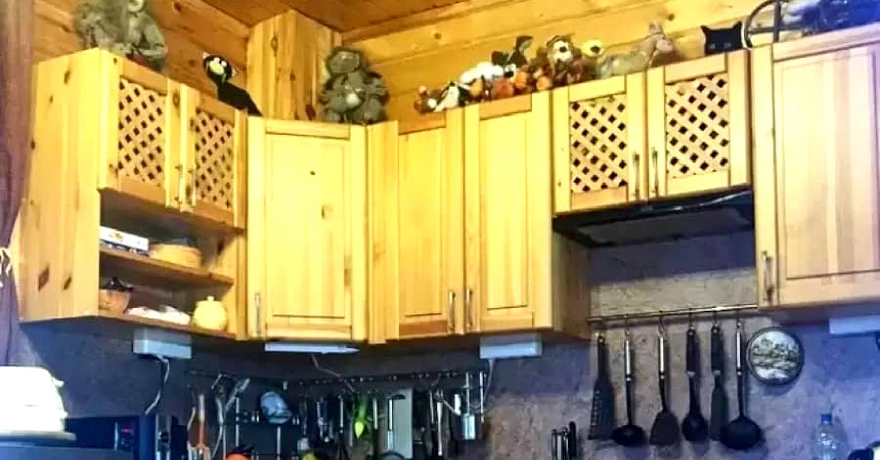 Optical illusion, Optical illusion cat in the kitchen