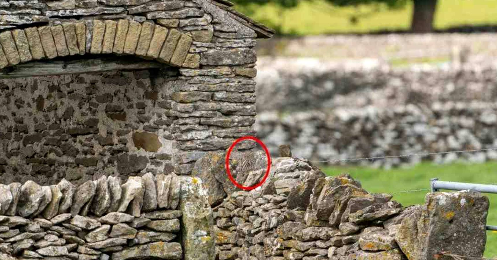 Optical illusion, Optical illusion owl in between rock house