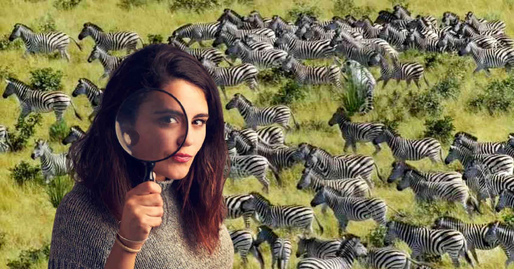 Optical illusion, Optical illusion tiger hidden among zebras