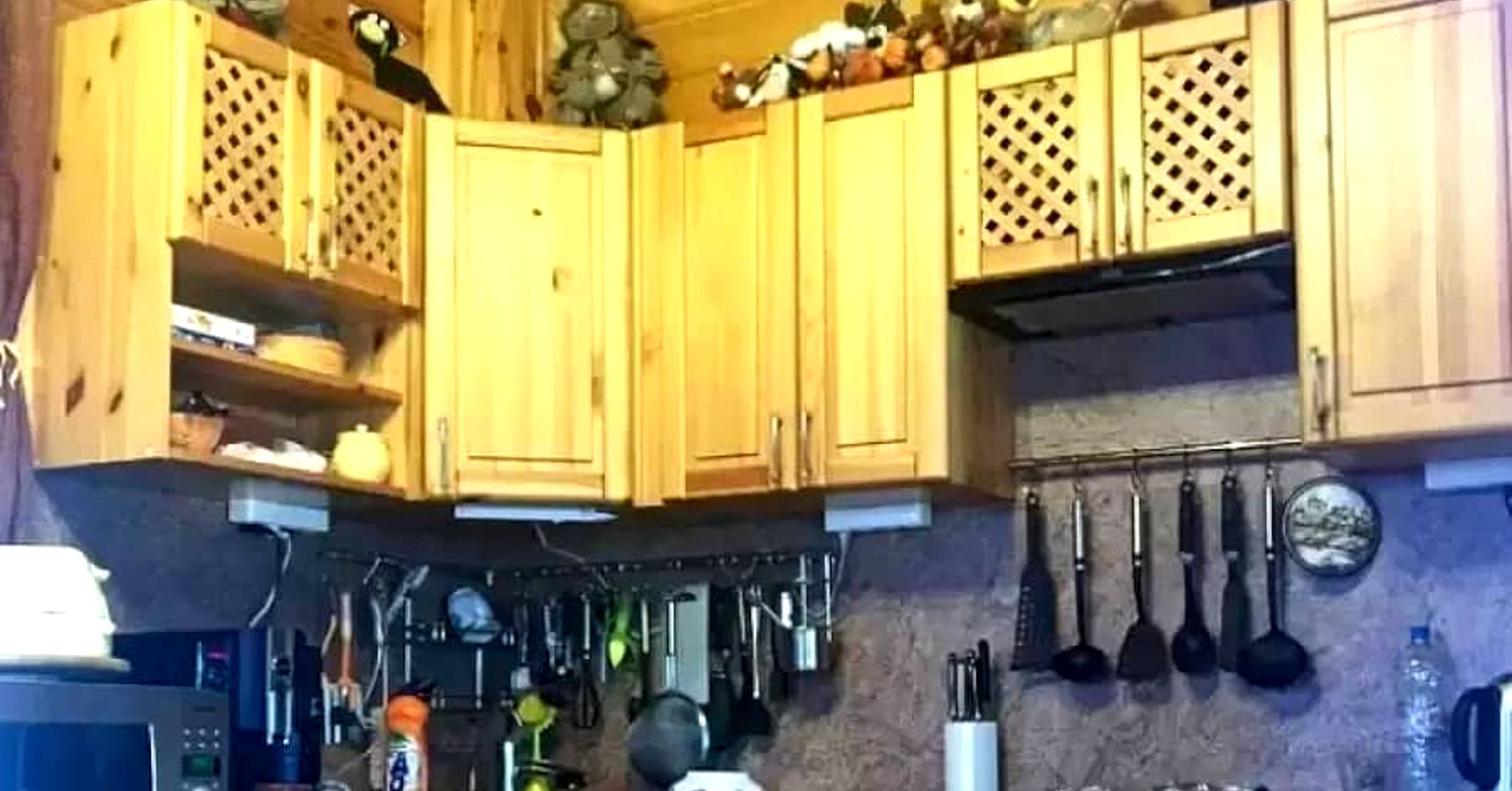 Optical illusion can you find a cat in the kitchen within 6 seconds