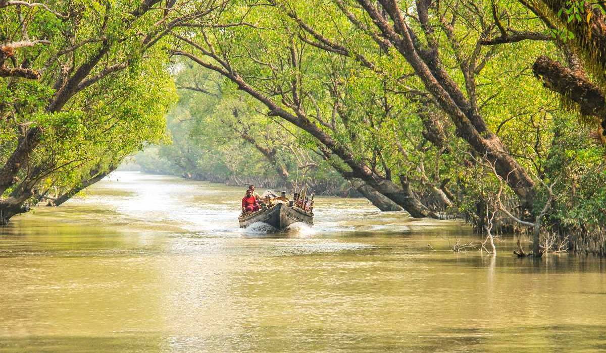 Sundarban, Best travel destination in West Bengal