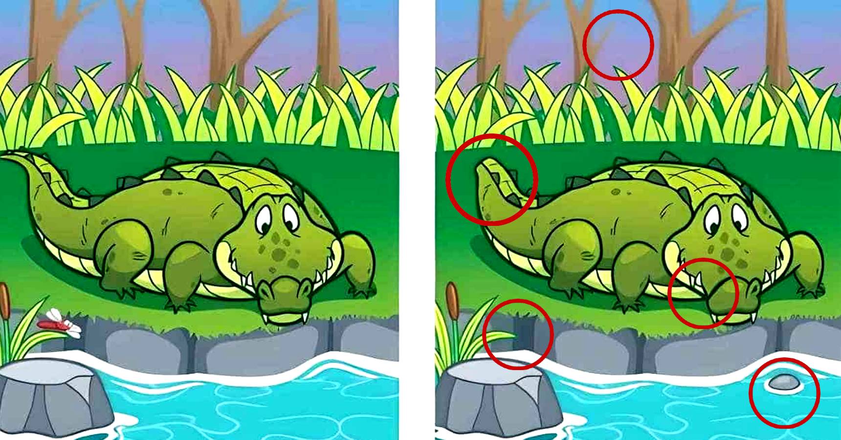 Brain teaser, Brain teaser crocodile, Brain teaser find the difference crocodile