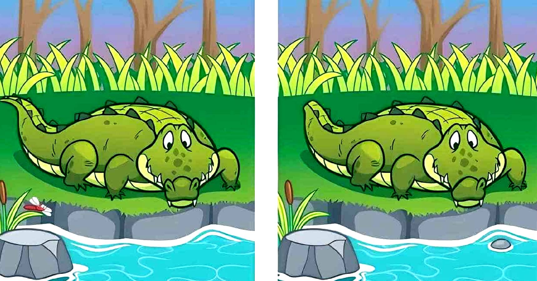 Brain teaser, Brain teaser crocodile, Brain teaser find the difference crocodile