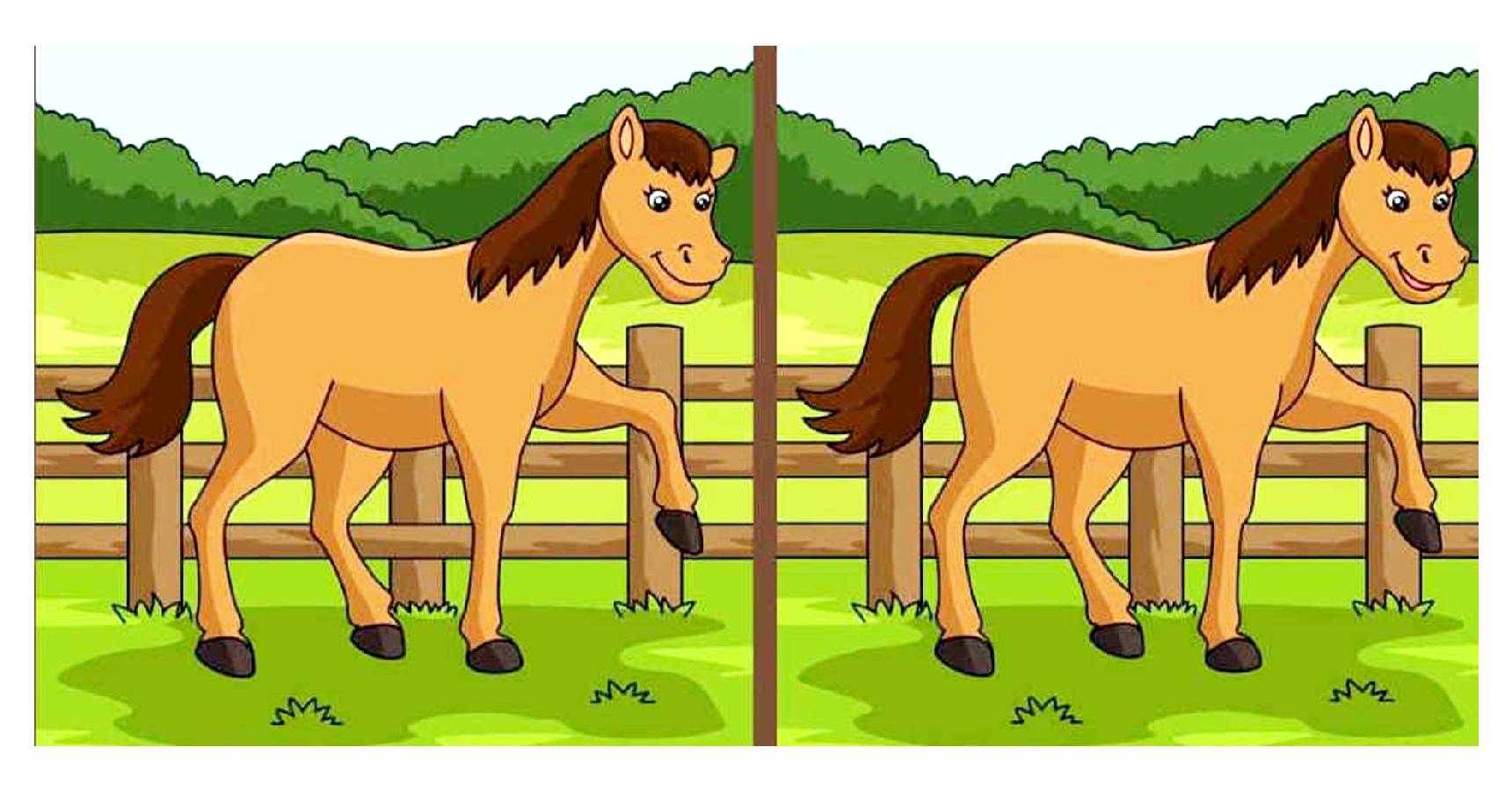 Brain teaser, Brain teaser horse, Brain teaser difference between the horses 