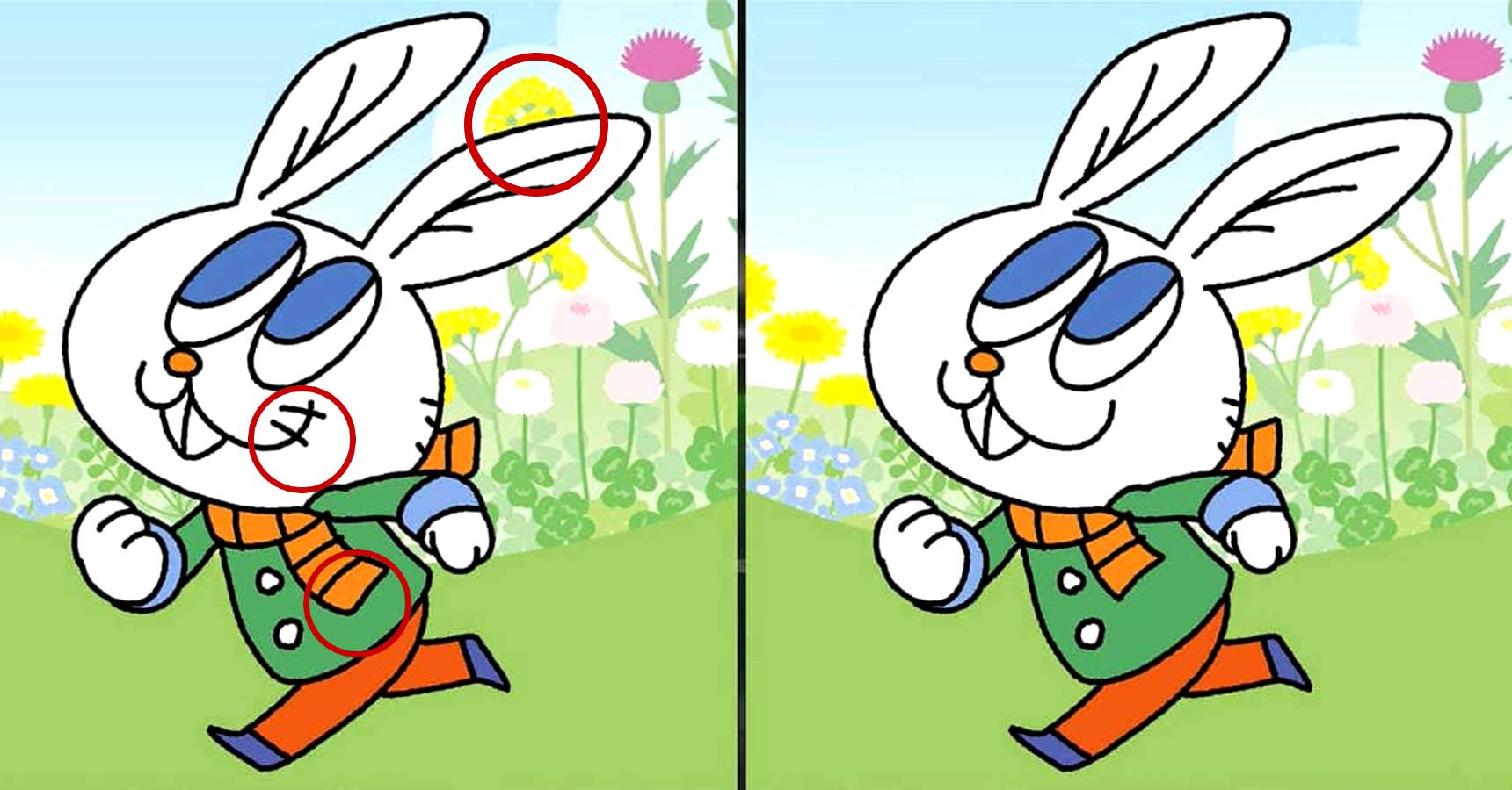 Brain teaser, Brain teaser rabbit, Brain teaser find the difference between the rabbits