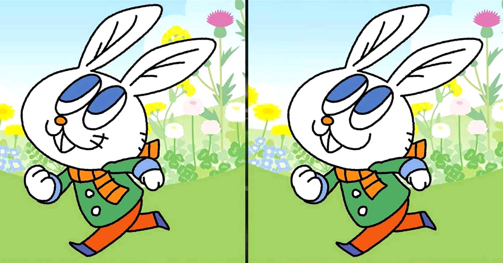 Brain teaser, Brain teaser rabbit, Brain teaser find the difference between the rabbits