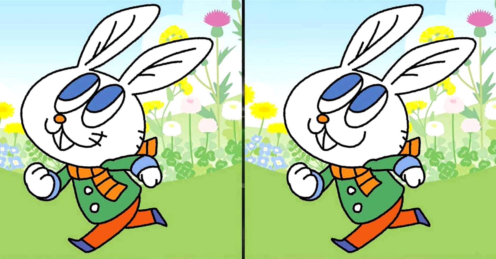 Brain teaser can you find 3 differences between two rabbits within 8 seconds