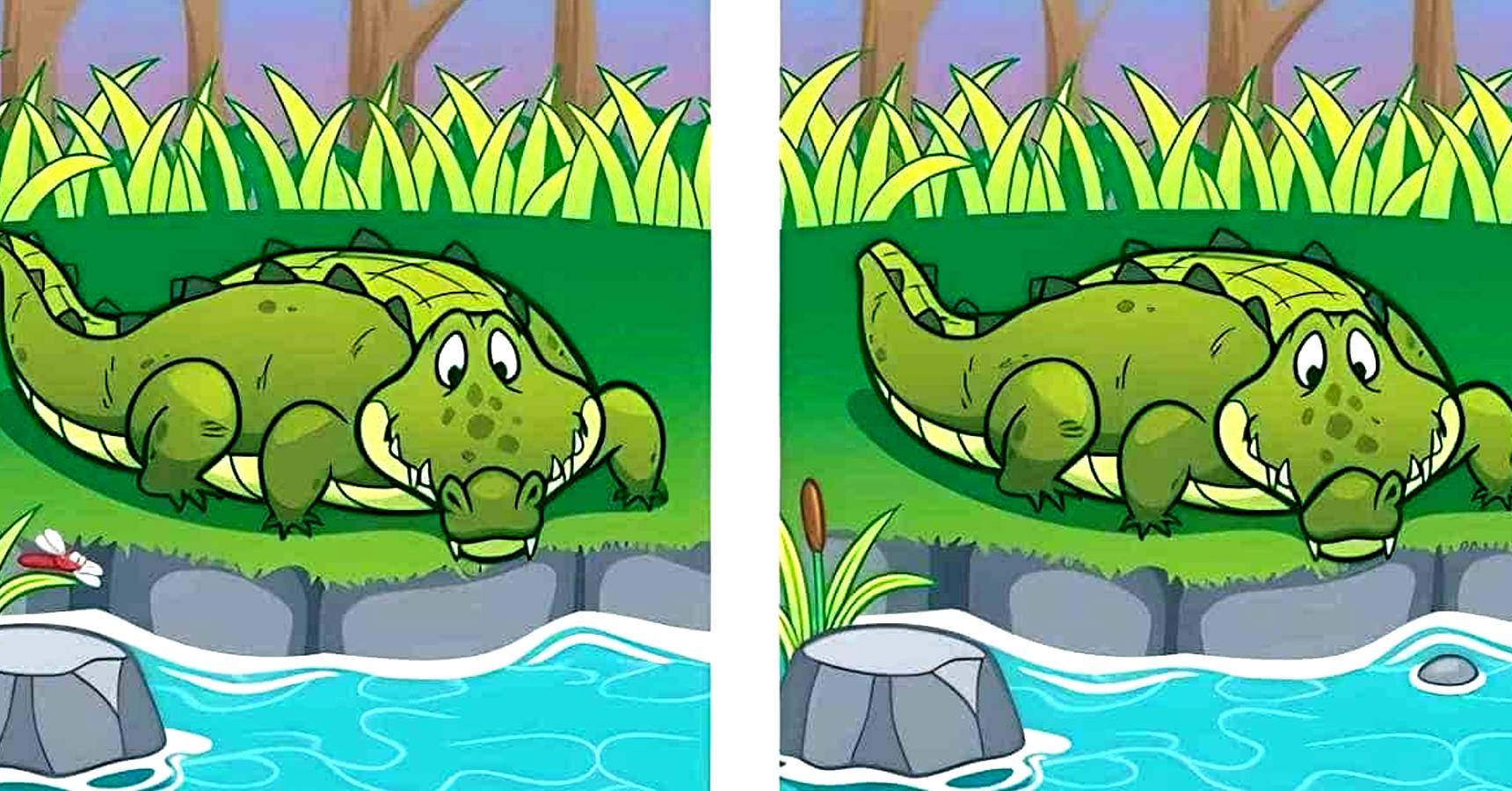 Brain teaser can you find 5 differences between the two crocodiles within 13 seconds