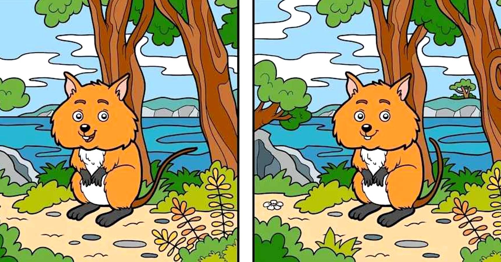 Brain teaser can you spot 10 differences within 19 seconds