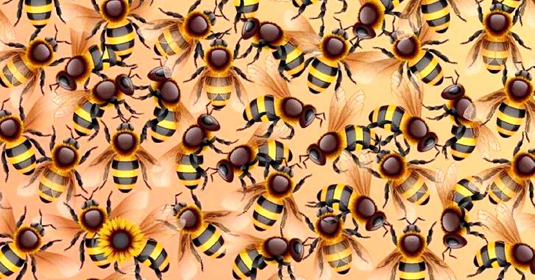 Optical illusion, Optical illusion Sunflower among the bees