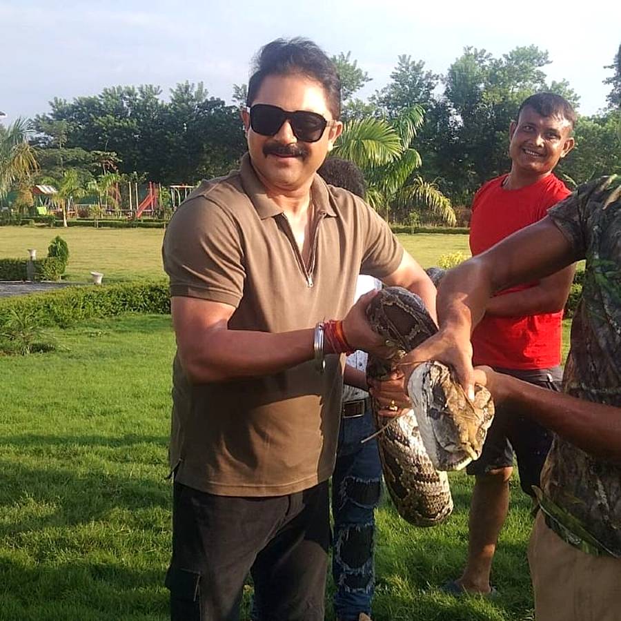 Soham Chakraborty, Soham Chakraborty with snake, Soham Chakraborty with Indian Rock Python