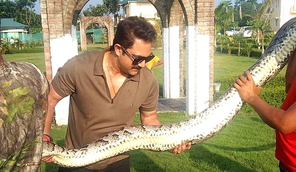 Soham Chakraborty, Soham Chakraborty with snake, Soham Chakraborty with Indian Rock Python