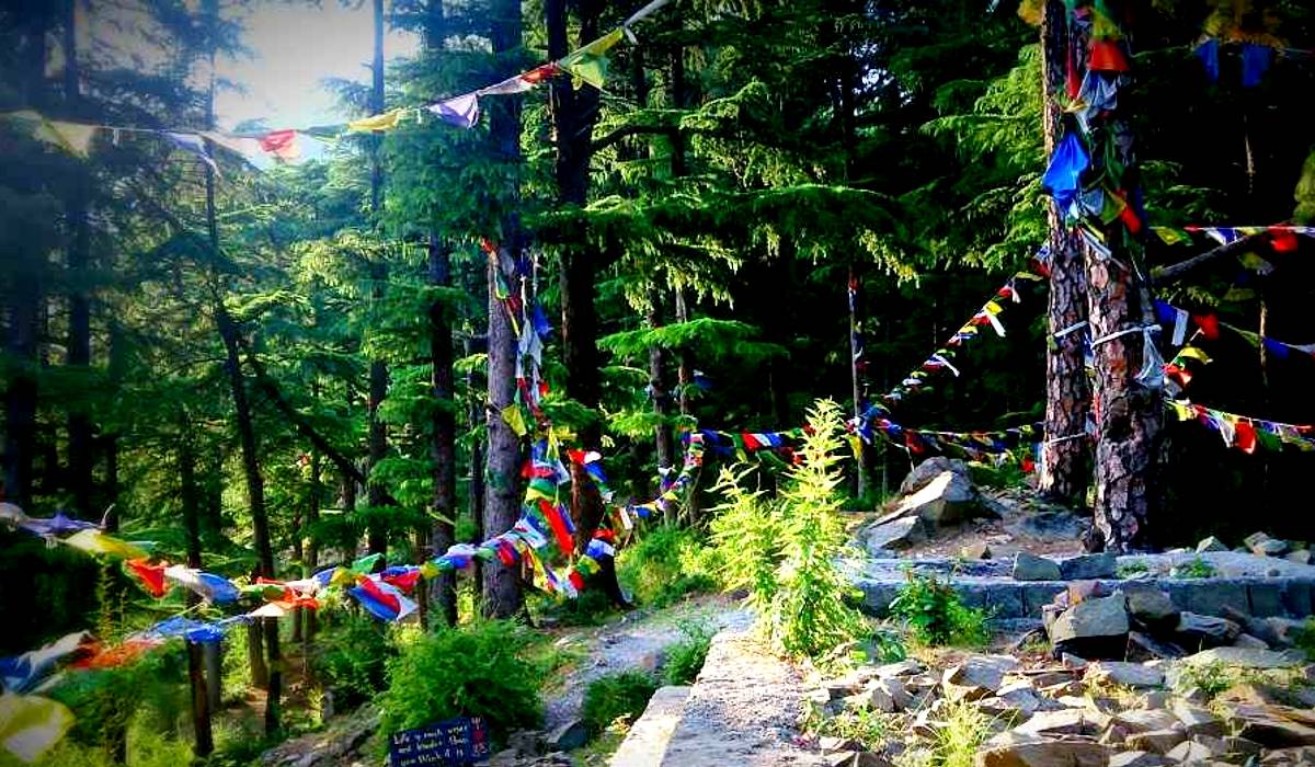 Dharamkot, Offbeat travel destination