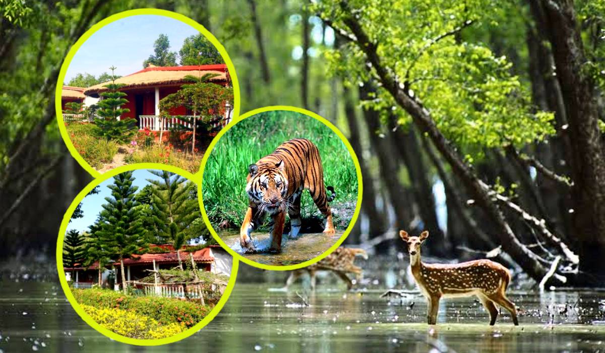 Travel,Travel news,Travel destination,Jharkhali,Offbeat destination,ভ্রমণ,ভ্রমণ সংবাদ,ট্রাভেল ডেস্টিনেশন,ঝড়খালি,অফবিট ডেস্টিনেশন,Bangla khobor,বাংলা খবর