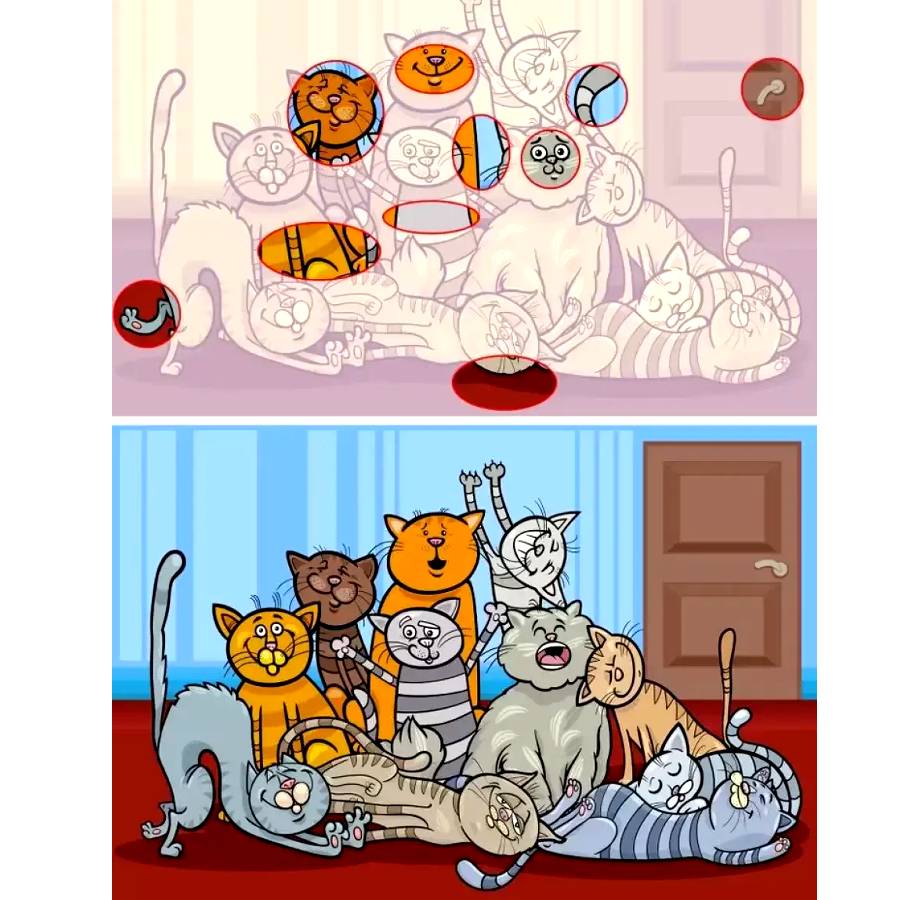 Optical illusion, Optical illusion find the difference in cat images