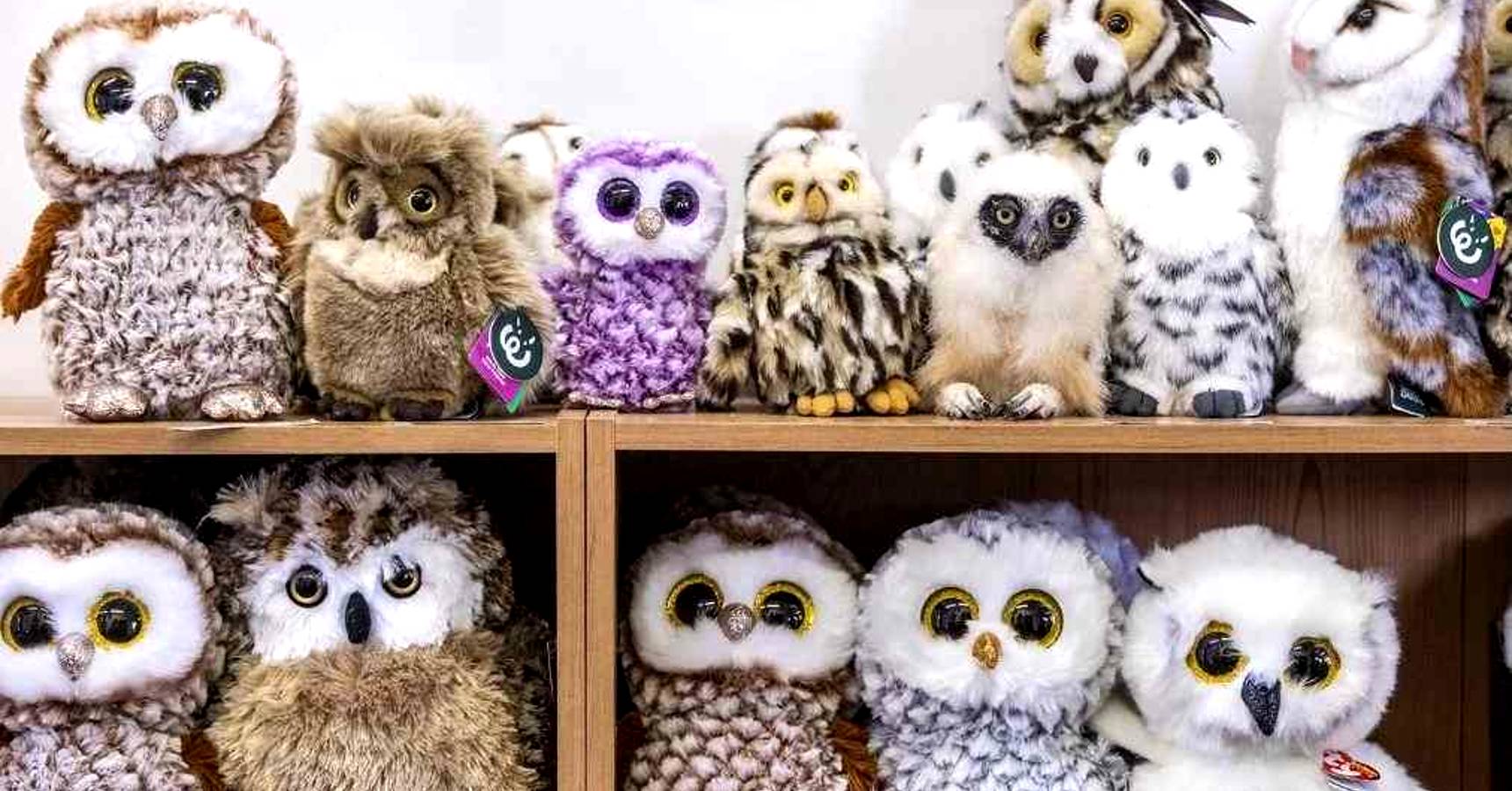 Optical illusion can you spot the real owl within 8 seconds