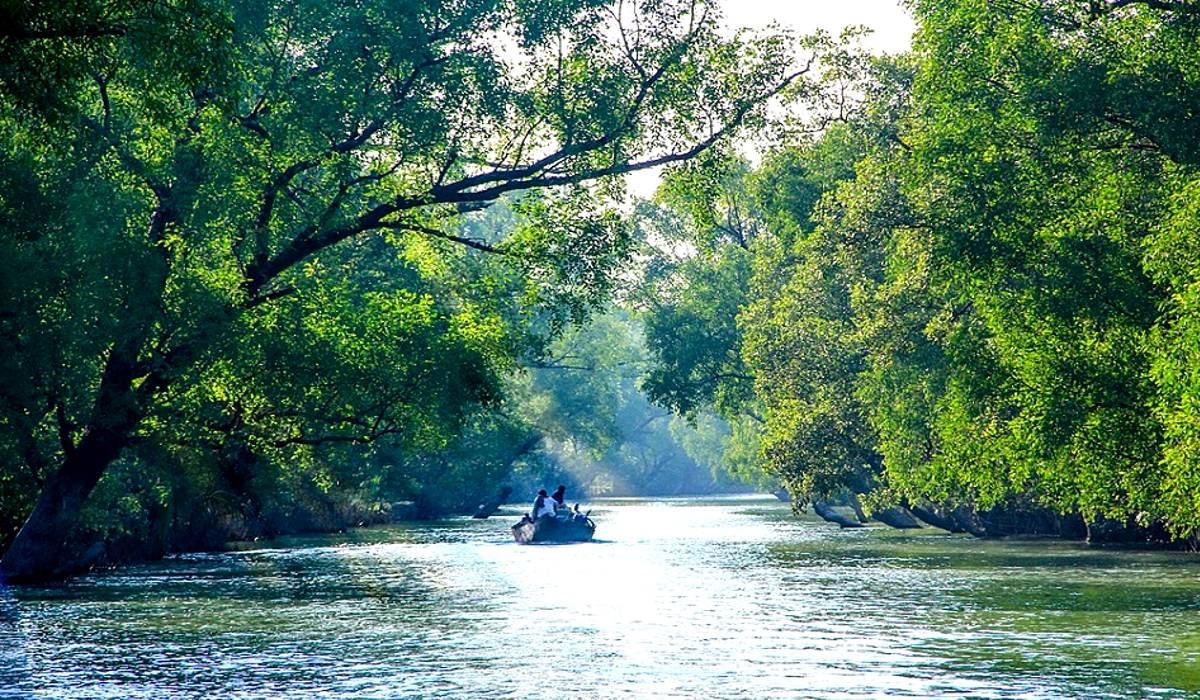 Sundarban, Travel destination for Durga Puja
