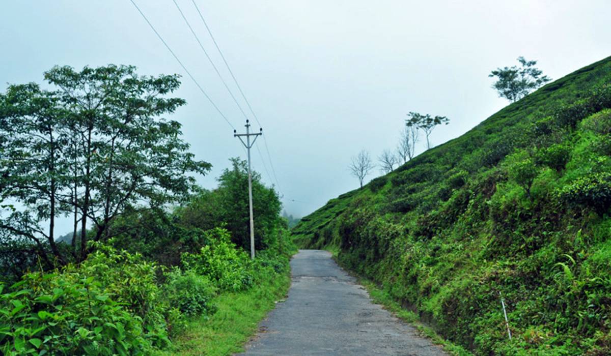 Jhandi, Offbeat travel destination in North Bengal