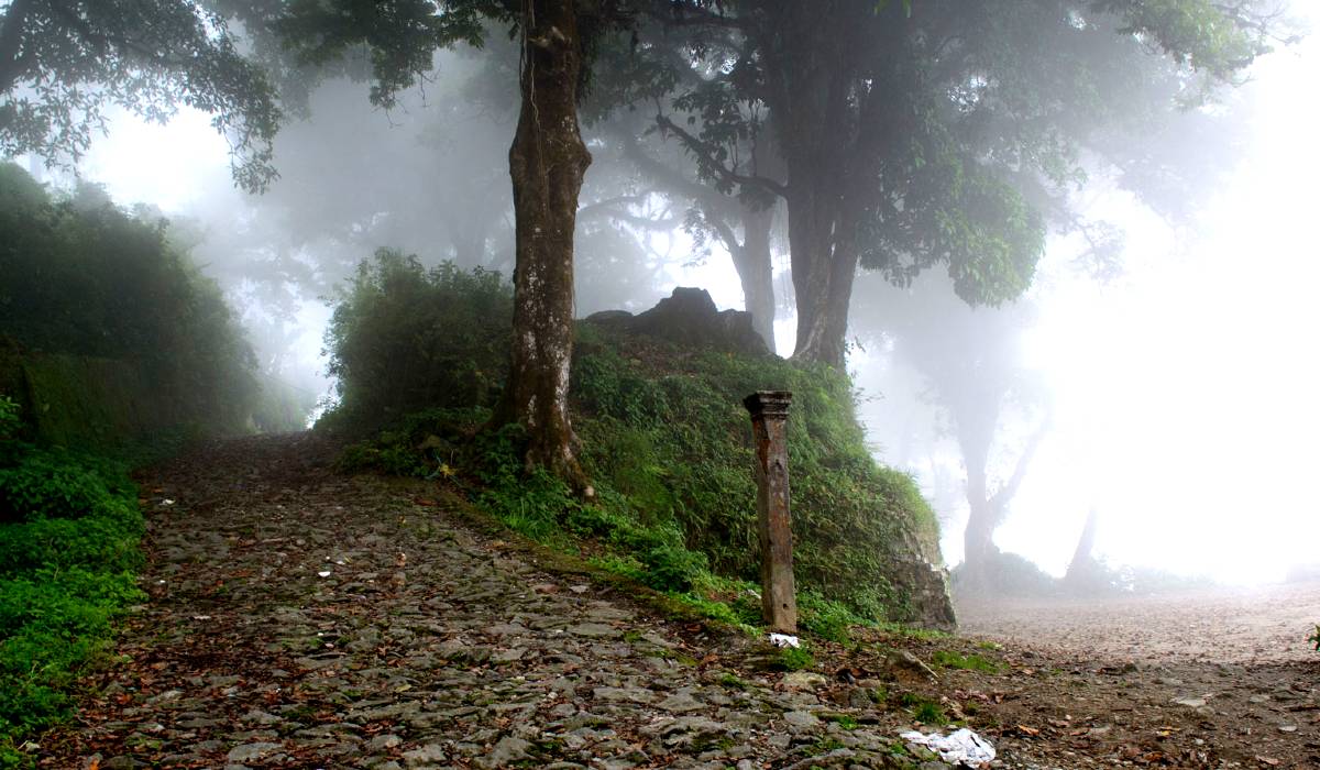 Travel haunted destination Dow Hill near Kurseong