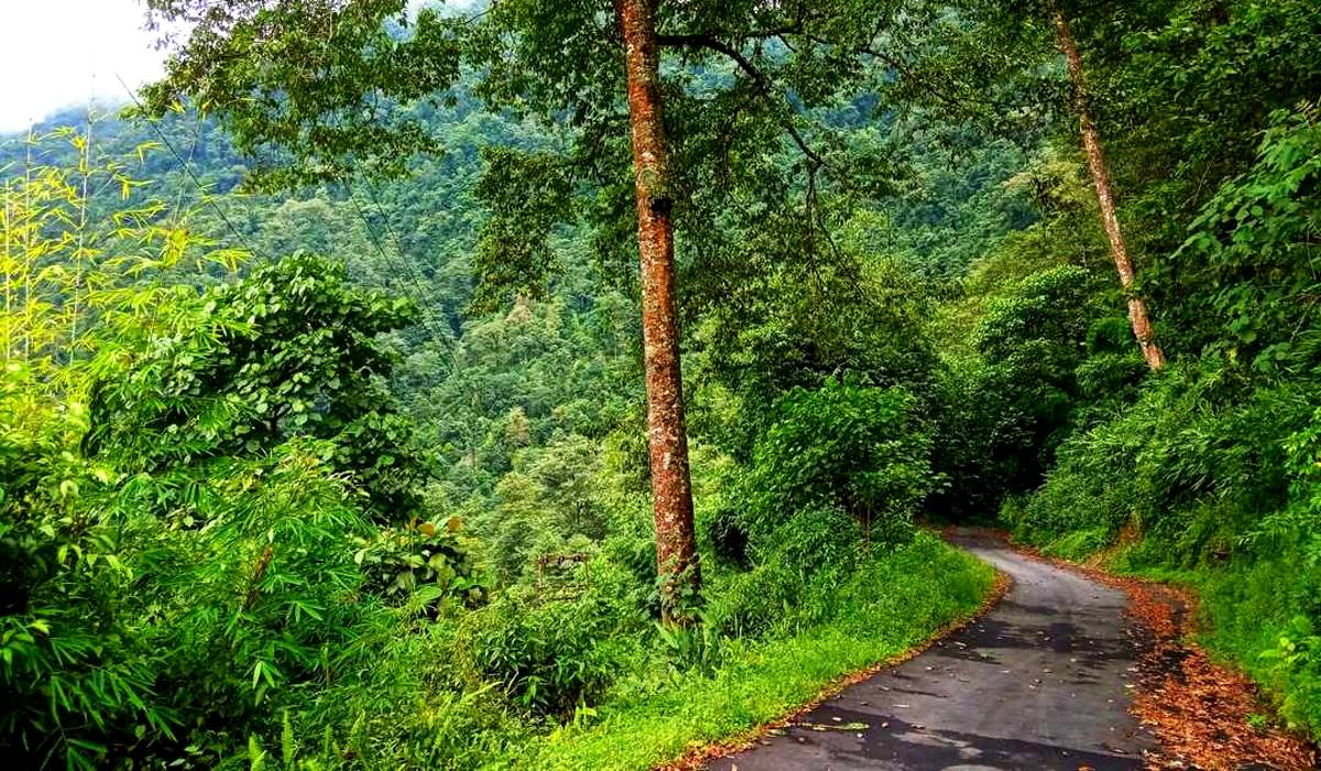 You can travel Sinji near Kalimpong
